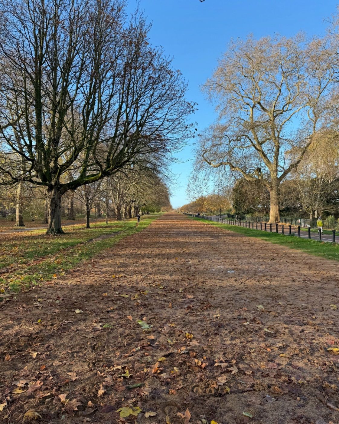 Δούκισσα Νομικού: Ταξίδι στο Λονδίνο με τα παιδιά της – Εικόνες 13 Δούκισσα Νομικού: Ταξίδι στο Λονδίνο με τα παιδιά της – Εικόνες