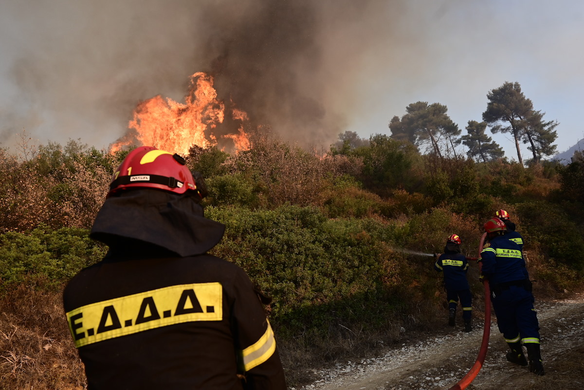 Δύο συλλήψεις για πυρκαγιά σε δάσος στην περιοχή Σέσι – Ζερβέσια Ωρωπού