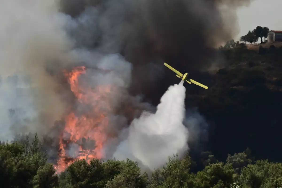 Υπό partial έλεγχο η φωτιά στην Αλίαρτο της Βοιωτίας – 25 πυροσβέστες στη μάχη με τις φλόγες