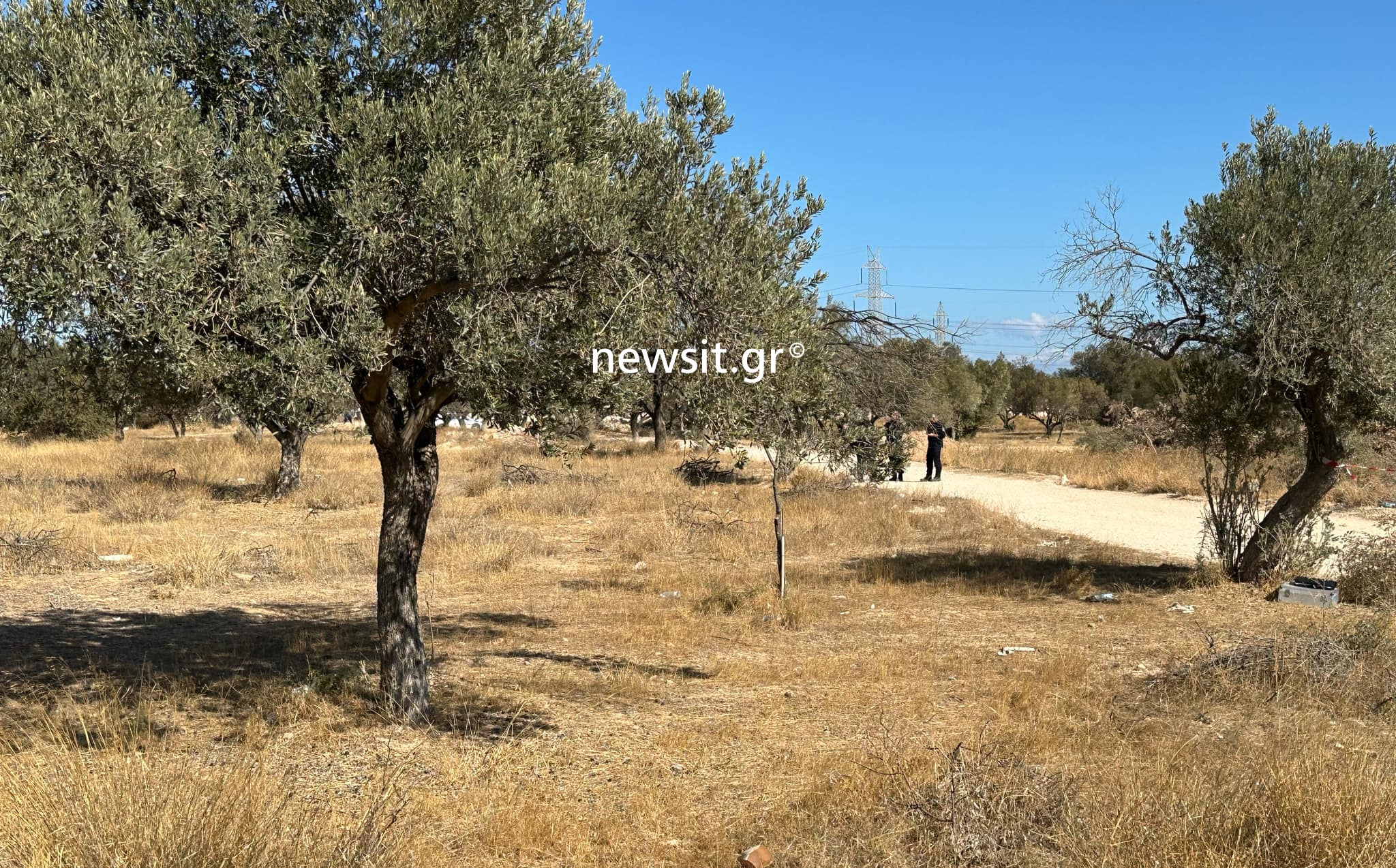 Θύμα βεντέτας δύο οικογενειών το τρίχρονο παιδί στο Μαρκόπουλο - Σε αυτό το αυτοκίνητο βρισκόταν όταν πυροβόλησαν οι δράστες