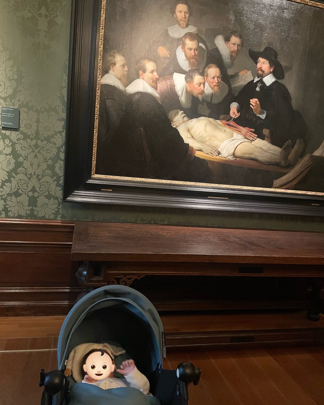 Βασιλική Τρουφάκου: Φωτογραφικό άλμπουμ από το ταξίδι στην Ολλανδία με τον 6 μηνών γιο της