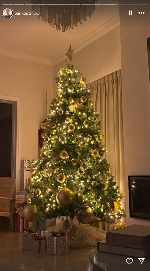 Κατερίνα Καινούργιου: Η εικόνα που ανάρτησε ο σύντροφός της από το διακοσμημένο σαλόνι του σπιτιού της 6 Κατερίνα Καινούργιου: Η εικόνα που ανάρτησε ο σύντροφός της από το διακοσμημένο σαλόνι του σπιτιού της