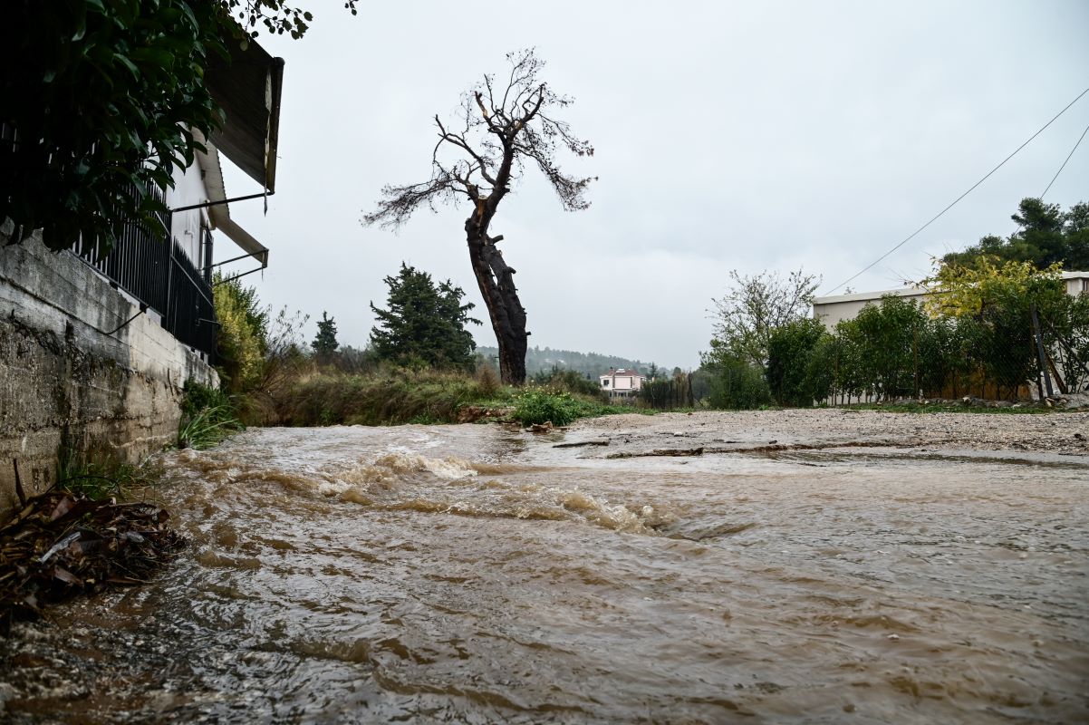 Δυσκολίες για έλεγχο αυτοκινήτων κοντά στον Άγιο Πέτρο στον Διόνυσο εξαιτίας της μεταφοράς υλικών από το βουνό.