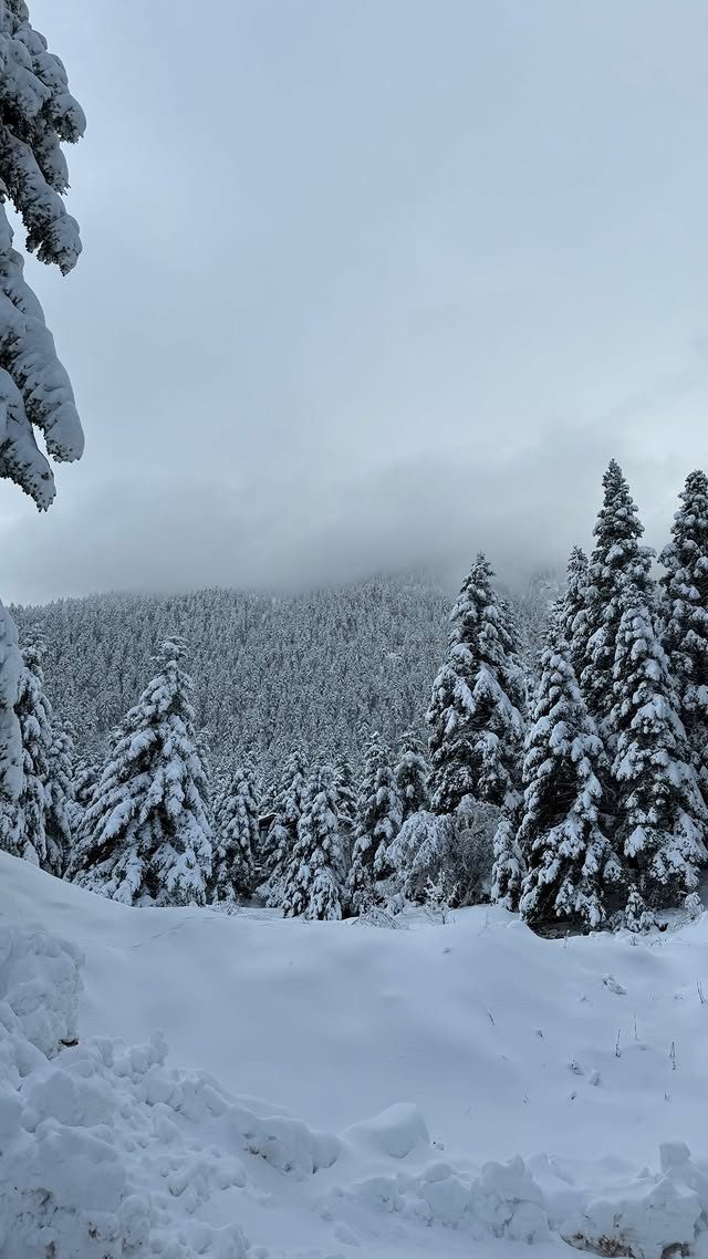 Μελίνα Νικολαΐδη: Οι εικόνες στο χιόνι με τον Δημήτρη Φιντιρίκο