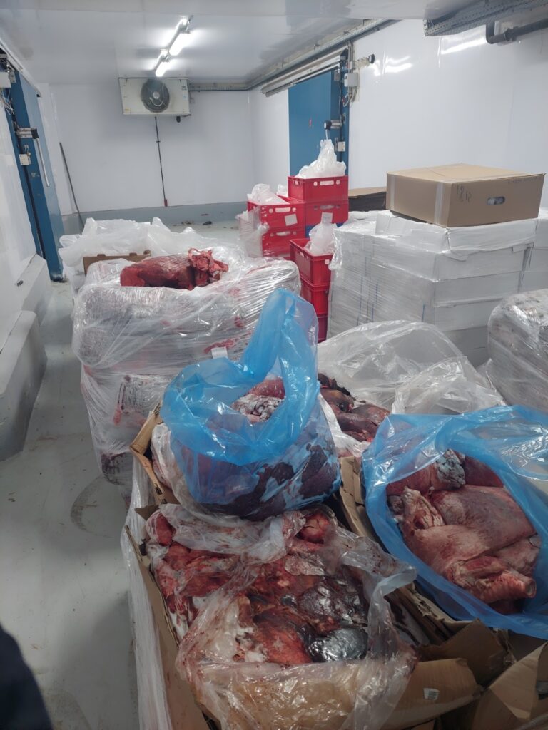 Κατασχέθηκαν 26.670 κιλά χαλασμένων κρεάτων σε επιχείρηση στην Αττική 2 Κατασχέθηκαν 26.670 κιλά χαλασμένων κρεάτων σε επιχείρηση στην Αττική
