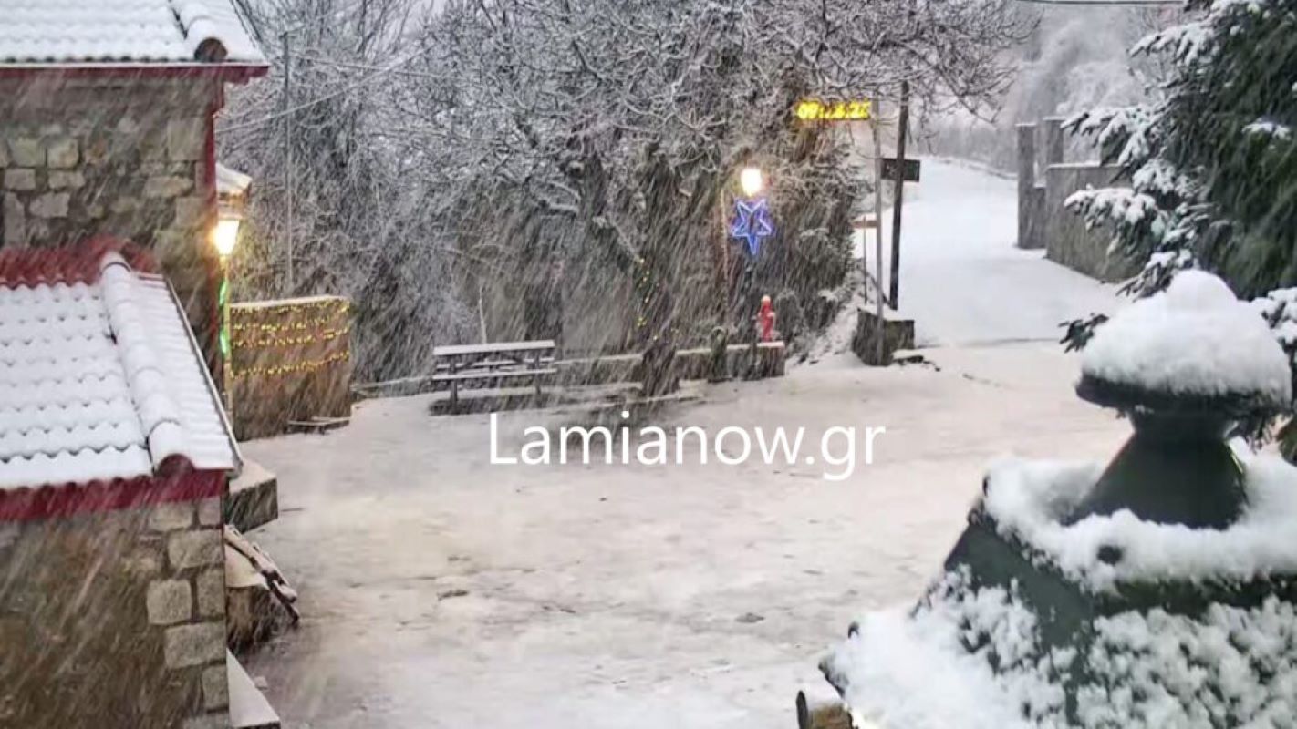 Φθιώτιδα: Χιονίζει στην Οίτη και προς Καρπενήσι – Λευκά τα ορεινά χωριά 11 Φθιώτιδα: Χιονίζει στην Οίτη και προς Καρπενήσι – Λευκά τα ορεινά χωριά