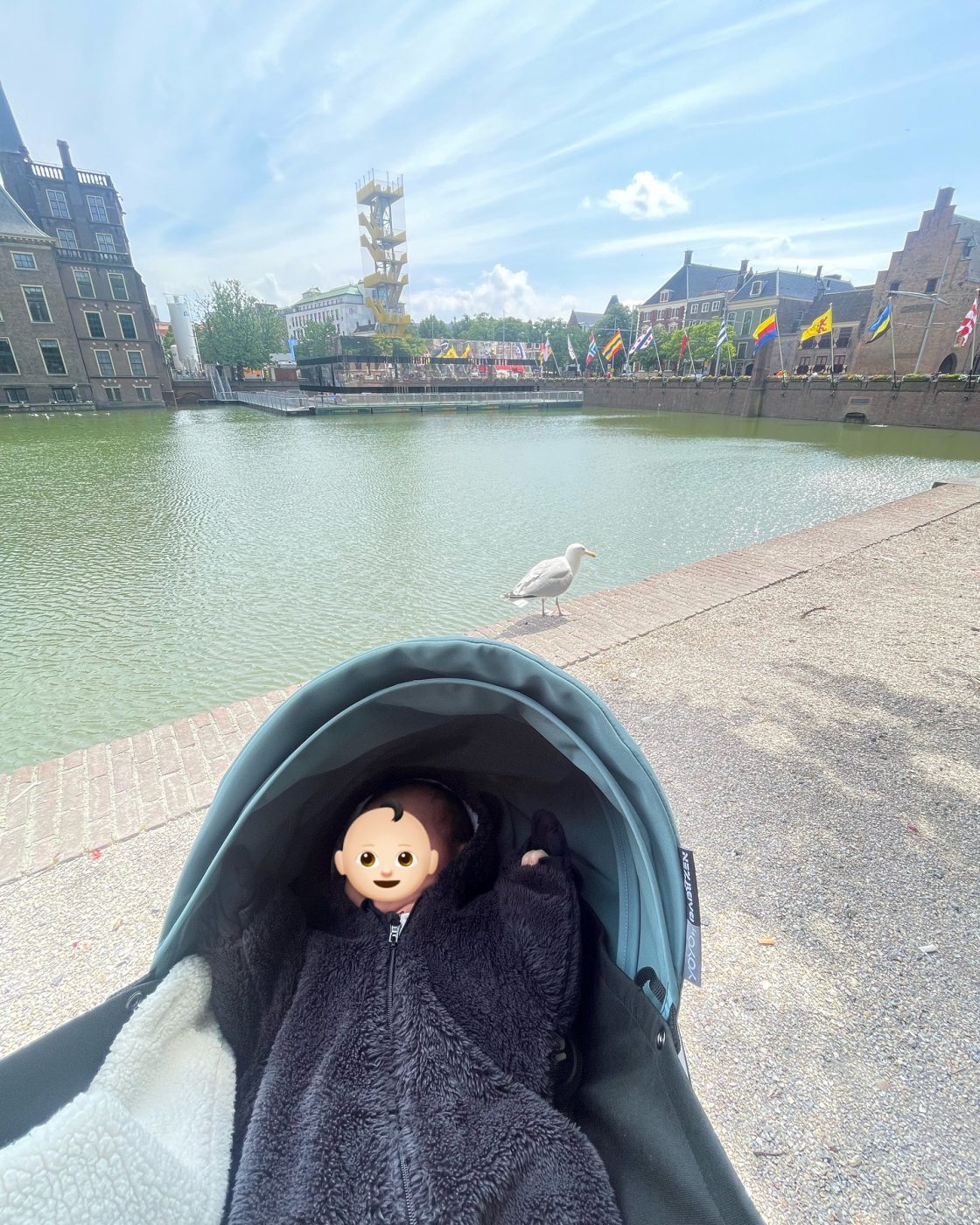 Βασιλική Τρουφάκου: Φωτογραφικό άλμπουμ από το ταξίδι στην Ολλανδία με τον 6 μηνών γιο της