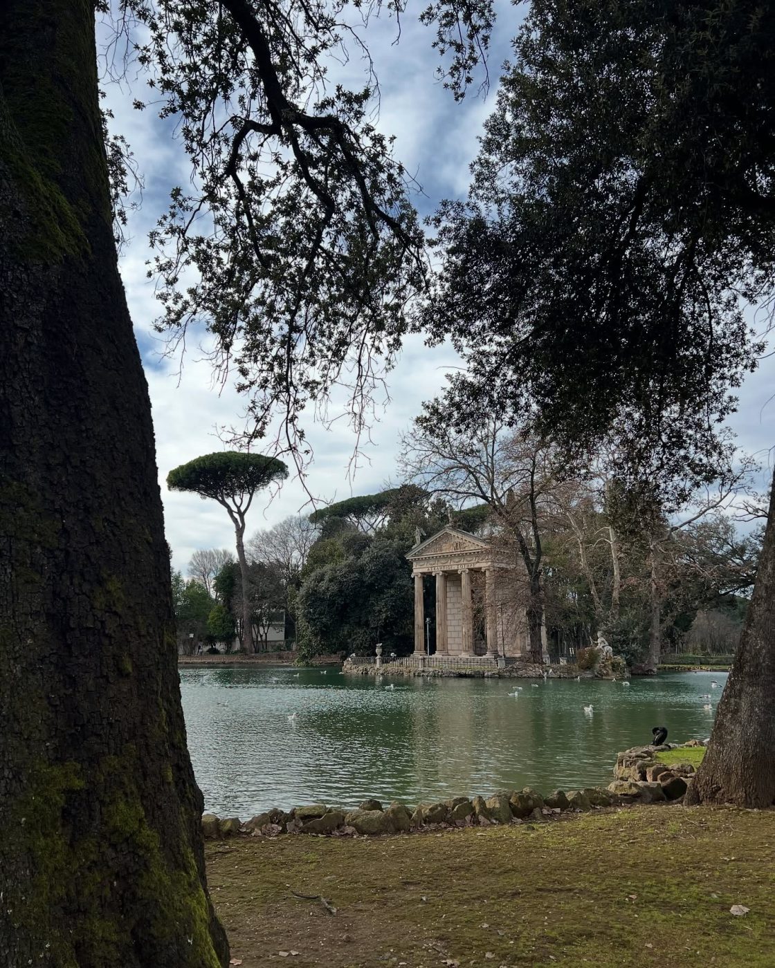 Αφροδίτη Λιάντου – Αλέξανδρος Σκουρλέτης: Χριστουγεννιάτικη εκδρομή στην Ρώμη – Φωτογραφίες 18 Αφροδίτη Λιάντου – Αλέξανδρος Σκουρλέτης: Χριστουγεννιάτικη εκδρομή στην Ρώμη – Φωτογραφίες