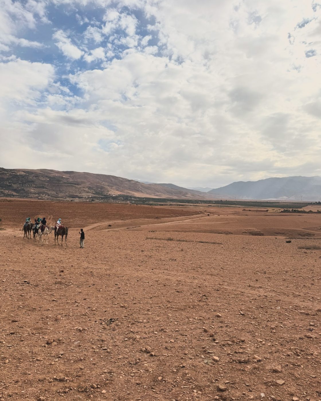Δανάη Μπάρκα: Έτσι περνάει τις ημέρες και τις νύχτες της στο Μαρόκο – Δες εικόνες και βίντεο 14 Δανάη Μπάρκα: Έτσι περνάει τις ημέρες και τις νύχτες της στο Μαρόκο – Δες εικόνες και βίντεο