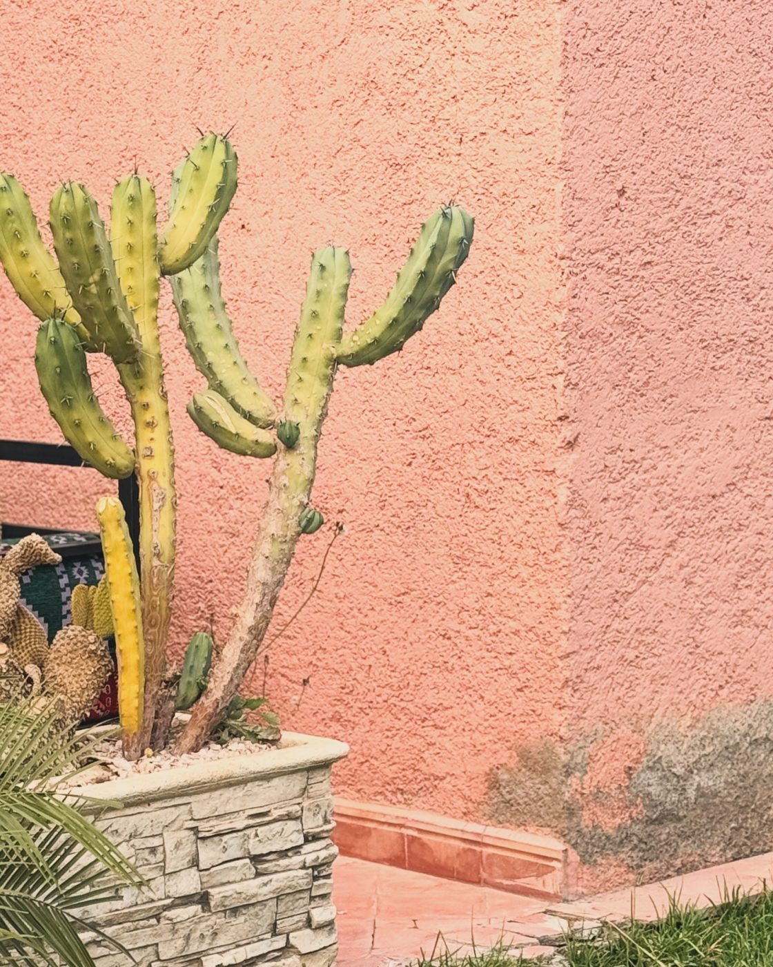 Δανάη Μπάρκα: Έτσι περνάει τις ημέρες και τις νύχτες της στο Μαρόκο – Δες εικόνες και βίντεο 19 Δανάη Μπάρκα: Έτσι περνάει τις ημέρες και τις νύχτες της στο Μαρόκο – Δες εικόνες και βίντεο