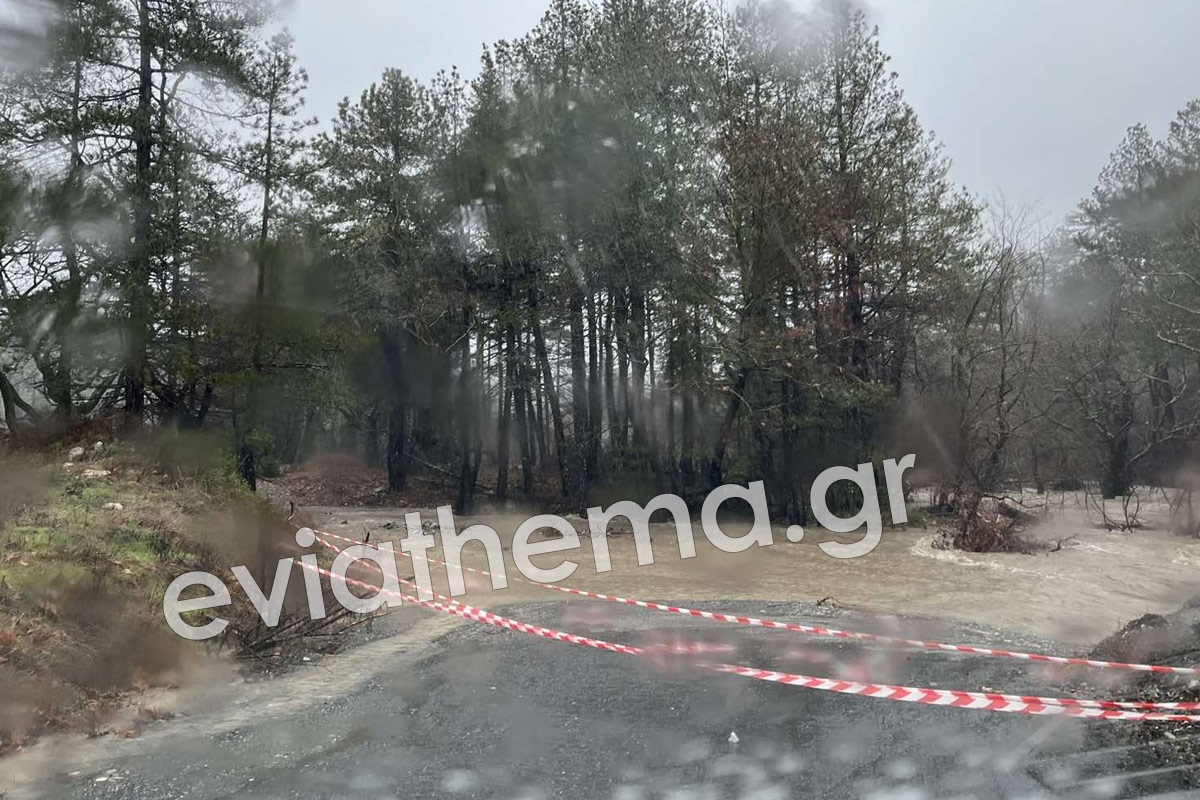 Κακοκαιρία: Η ισχυρή βροχόπτωση «έπνιξε» την Εύβοια – Ποτάμια κατέληξαν στη θάλασσα