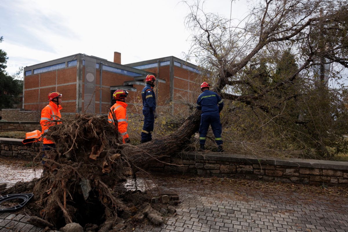 Σημαντικές ζημιές στη Χαλκιδική λόγω της κακοκαιρίας Bora, δυσλειτουργίες με το ρεύμα στη Θέρμη Θεσσαλονίκης
