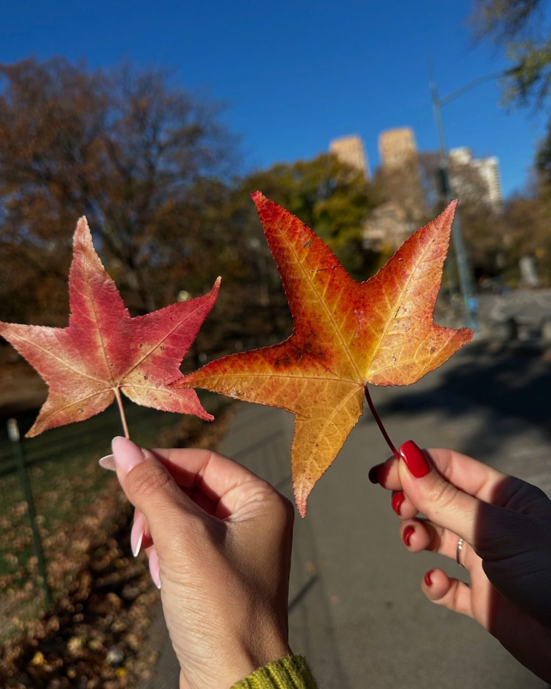 Κωνσταντίνα Σπυροπούλου: Από τις Μπαχάμες στη Νέα Υόρκη! Το άλμπουμ φωτογραφιών του ταξιδιού της 19 Κωνσταντίνα Σπυροπούλου: Από τις Μπαχάμες στη Νέα Υόρκη! Το άλμπουμ φωτογραφιών του ταξιδιού της