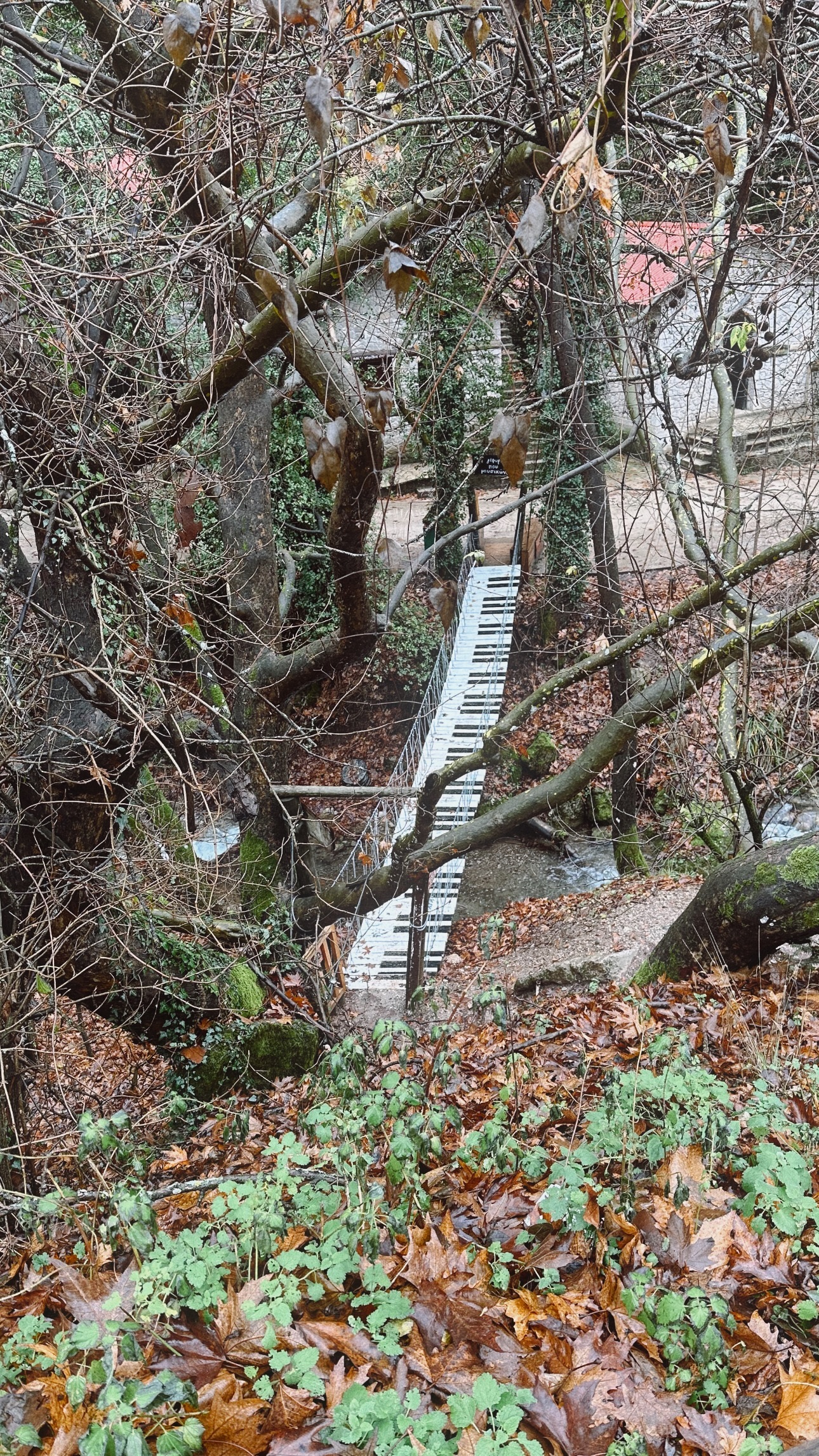 Μαίρη Συνατσάκη: Φρέσκες εικόνες από την εκτός Αθήνας εξόρμηση με την κόρη της, Ολίβια 4 Μαίρη Συνατσάκη: Φρέσκες εικόνες από την εκτός Αθήνας εξόρμηση με την κόρη της, Ολίβια