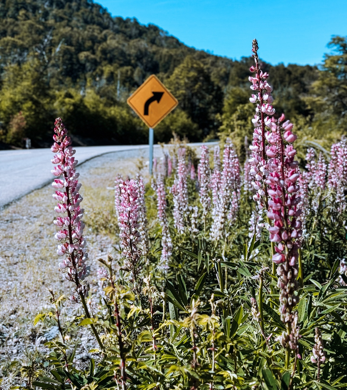 Αθηνά Οικονομάκου – Μπρούνο Τσερέλα: Φρέσκες εικόνες από το ταξίδι στην Παταγονία 15 Αθηνά Οικονομάκου – Μπρούνο Τσερέλα: Φρέσκες εικόνες από το ταξίδι στην Παταγονία