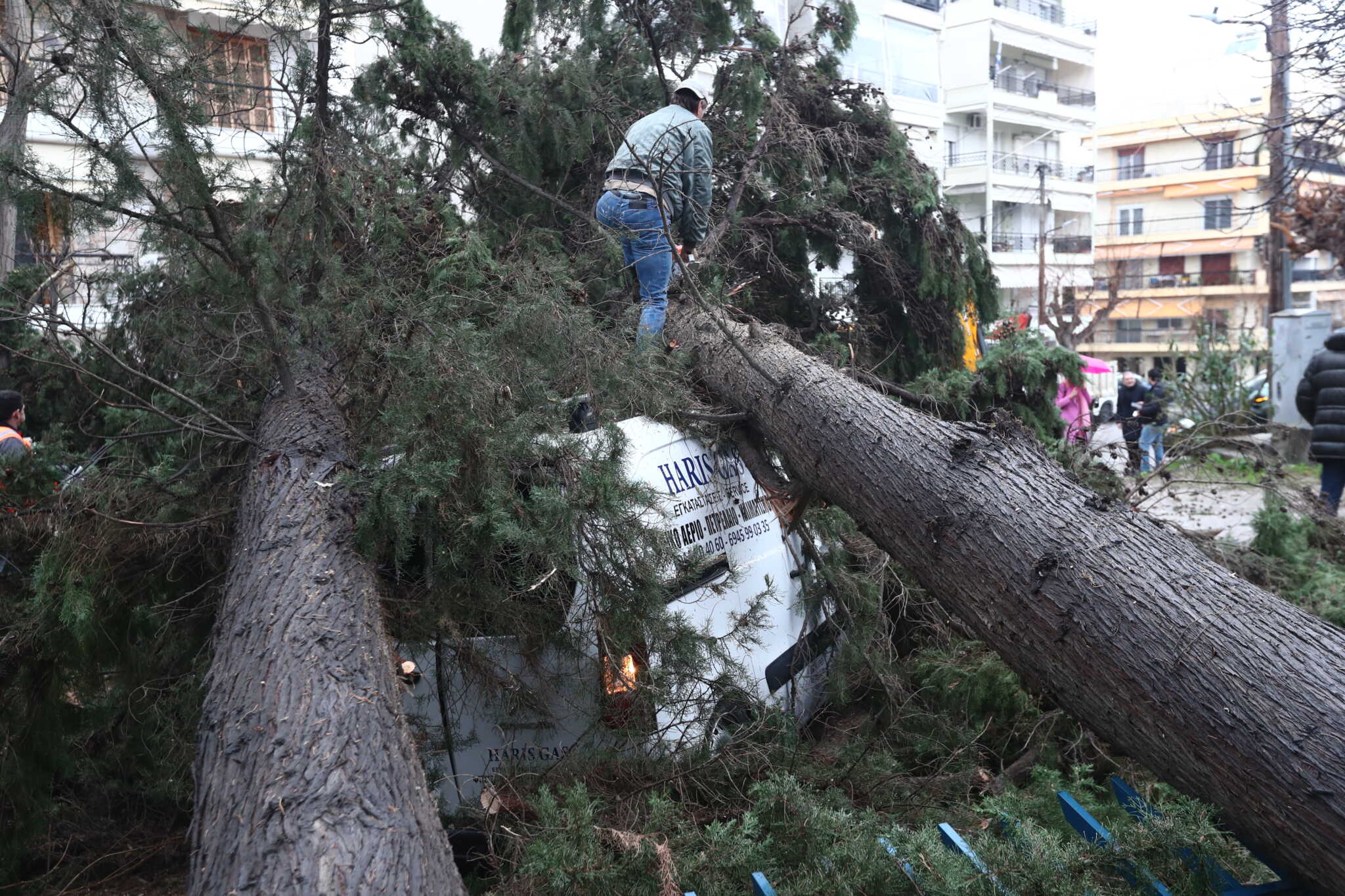 Πάνω από 380 κλήσεις στην Πυροσβεστική για δέντρα που έπεσαν στη Θεσσαλονίκη λόγω της κακοκαιρίας Bora