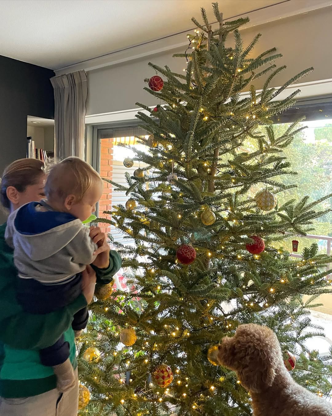 Γιούλικα Σκαφιδά: Οι εικόνες από το δέντρο που στόλισε στο σπίτι της μαζί με τον γιο της!