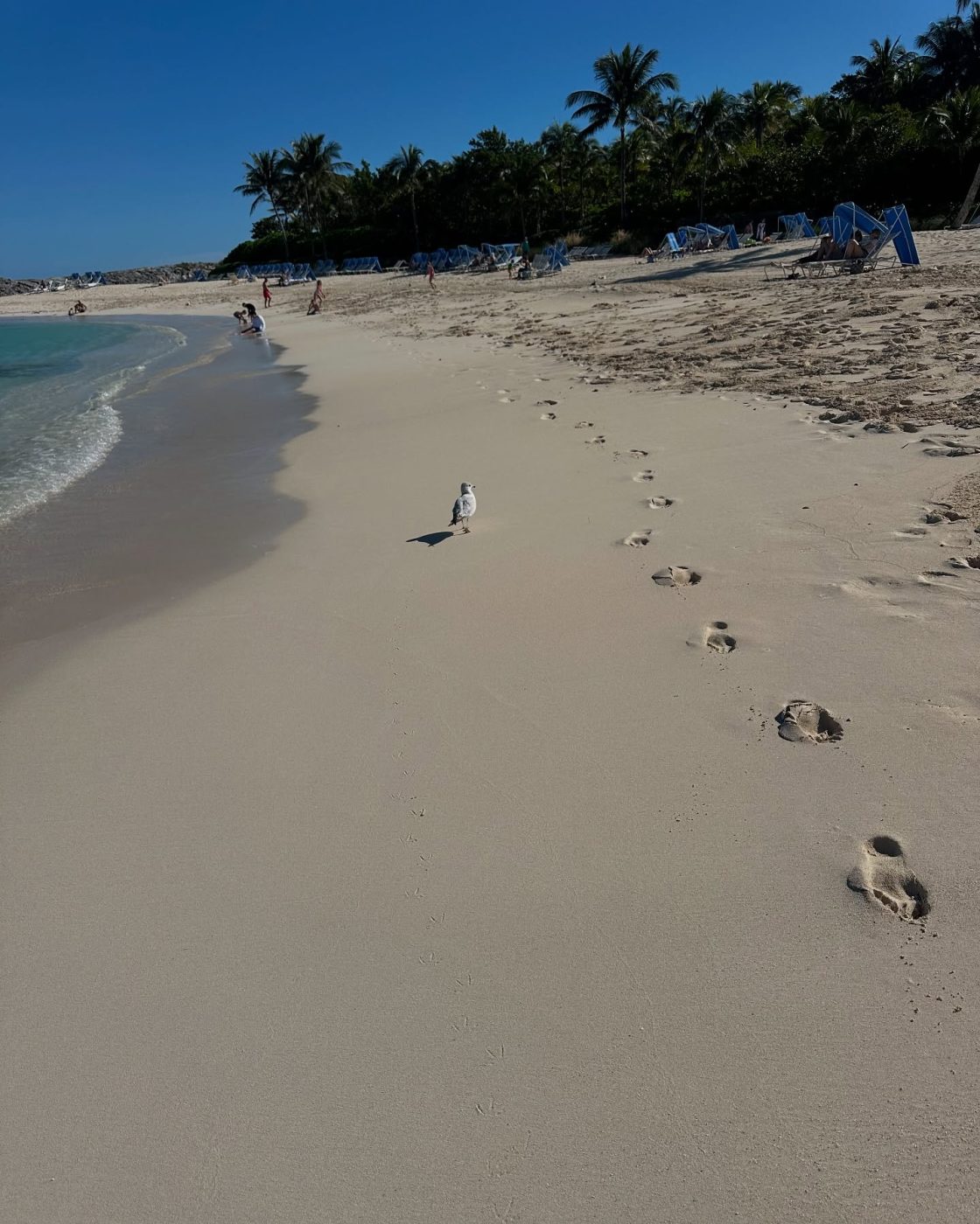 Κωνσταντίνα Σπυροπούλου – Βασίλης Σταθοκωστόπουλος: Η απόδραση σε τροπικό προορισμό λίγο πριν τα Χριστούγεννα – Εικόνες 18 Κωνσταντίνα Σπυροπούλου – Βασίλης Σταθοκωστόπουλος: Η απόδραση σε τροπικό προορισμό λίγο πριν τα Χριστούγεννα – Εικόνες