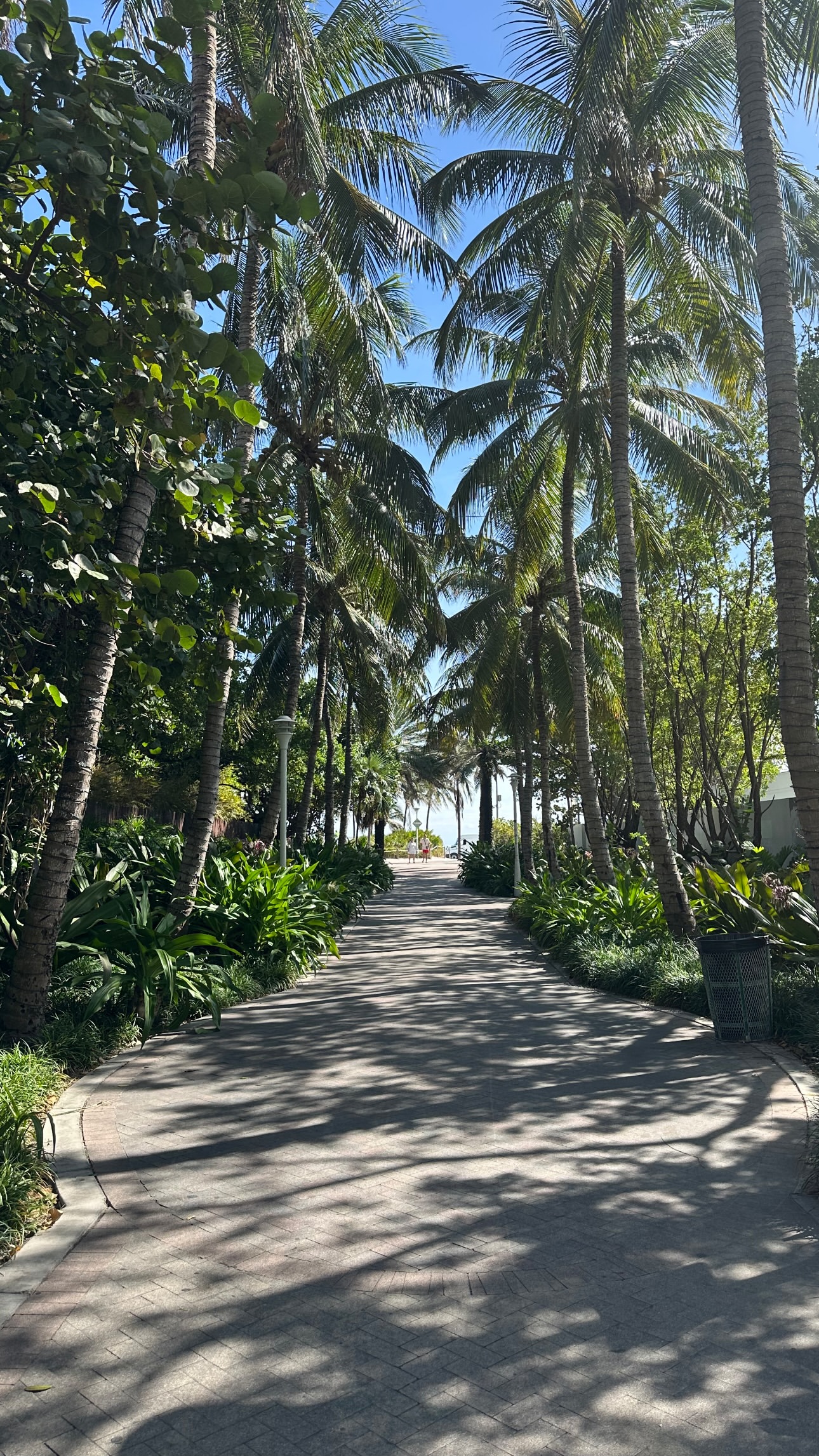 Κωνσταντίνα Σπυροπούλου – Βασίλης Σταθοκωστόπουλος: Ένα pre-holiday ταξίδι στη Νέα Υόρκη! Η σουίτα και μιαρές στιγμές