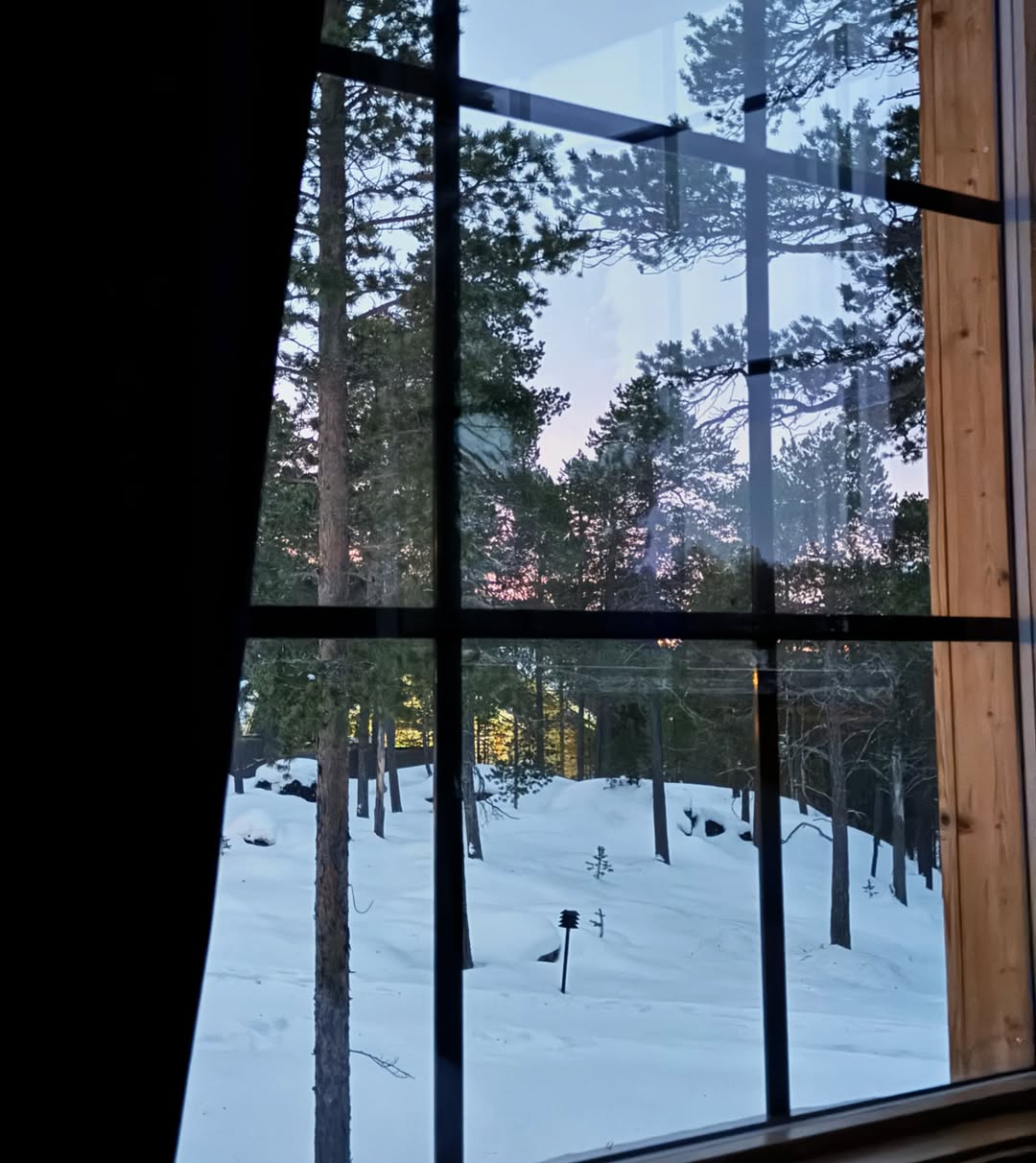 Μπρούνο Τσερέλα: Οι πρόσφατες φωτογραφίες από την εκδρομή στη Φινλανδία με την Αθηνά Οικονομάκου 6 Μπρούνο Τσερέλα: Οι πρόσφατες φωτογραφίες από την εκδρομή στη Φινλανδία με την Αθηνά Οικονομάκου