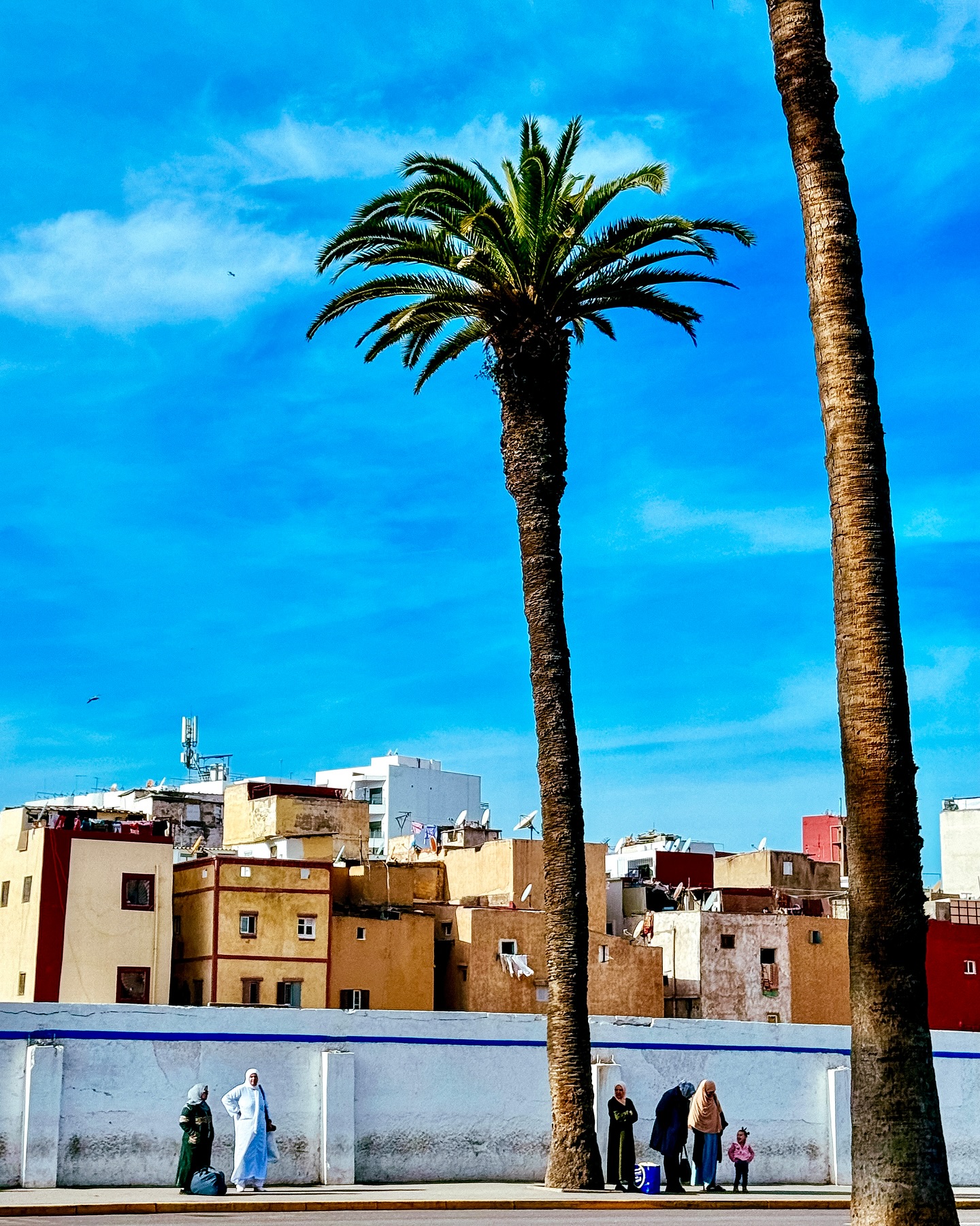 Μαρίνα Βερνίκου: Στην Καζαμπλάνκα προσκεκλημένη σε παραδοσιακό γάμο – Βίντεο και εικόνες από το ταξίδι της 11 Μαρίνα Βερνίκου: Στην Καζαμπλάνκα προσκεκλημένη σε παραδοσιακό γάμο – Βίντεο και εικόνες από το ταξίδι της