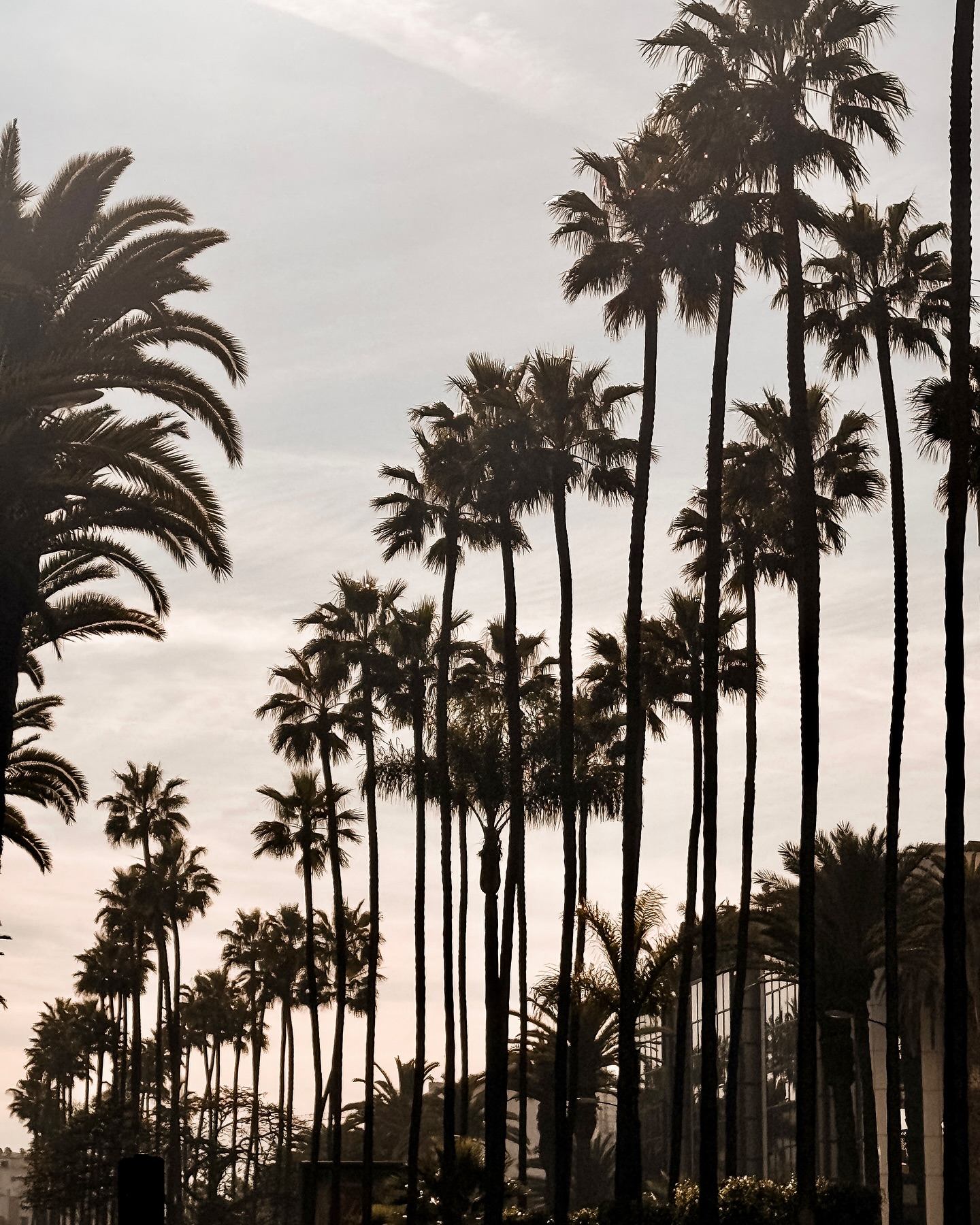 Μαρίνα Βερνίκου: Στην Καζαμπλάνκα προσκεκλημένη σε παραδοσιακό γάμο – Βίντεο και εικόνες από το ταξίδι της 13 Μαρίνα Βερνίκου: Στην Καζαμπλάνκα προσκεκλημένη σε παραδοσιακό γάμο – Βίντεο και εικόνες από το ταξίδι της