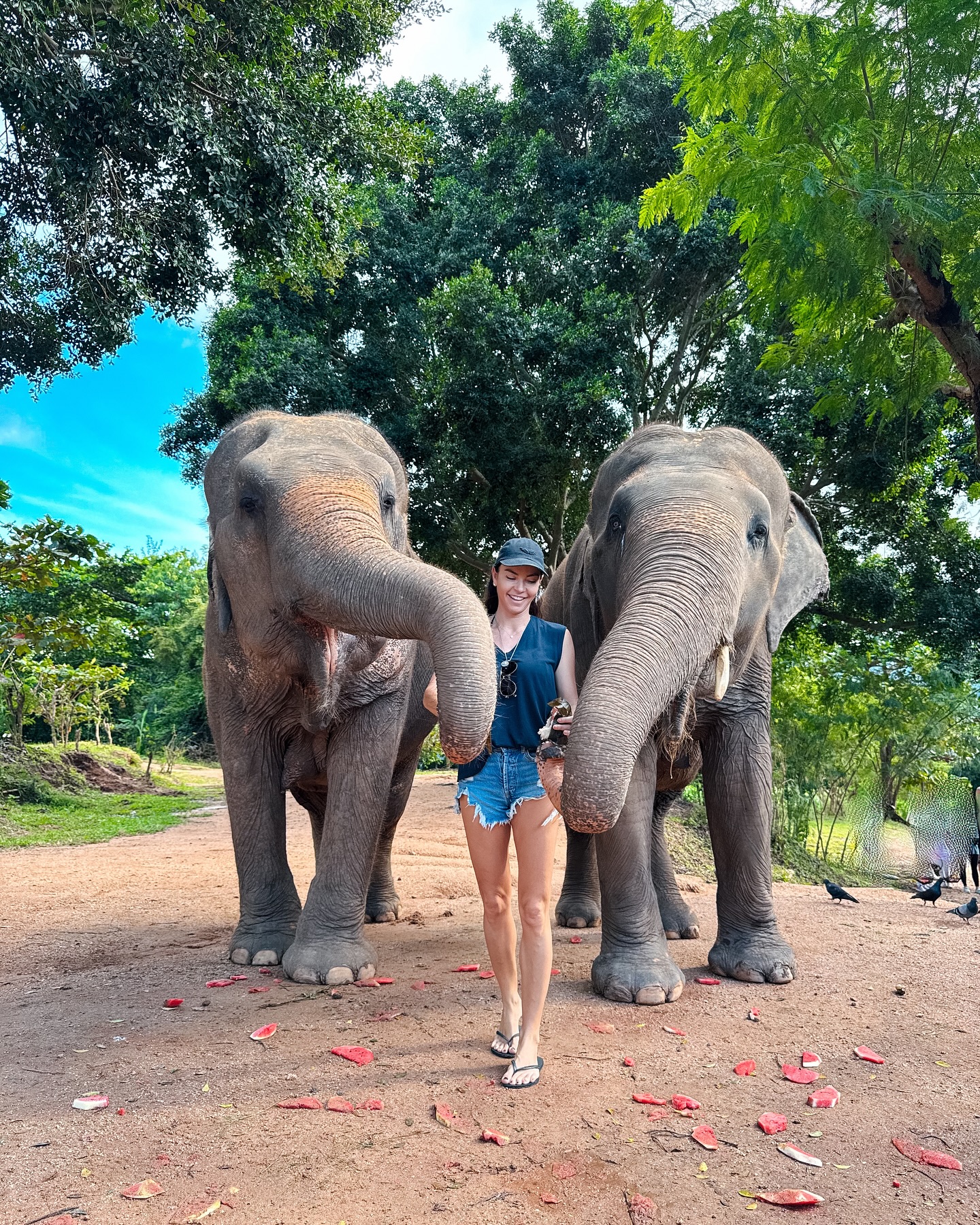 Μαρίνα Βερνίκου: Το ταξίδι στο Κο Σαμούι στην Ταϊλάνδη και η εμπειρία με τους ελέφαντες 10 Μαρίνα Βερνίκου: Το ταξίδι στο Κο Σαμούι στην Ταϊλάνδη και η εμπειρία με τους ελέφαντες