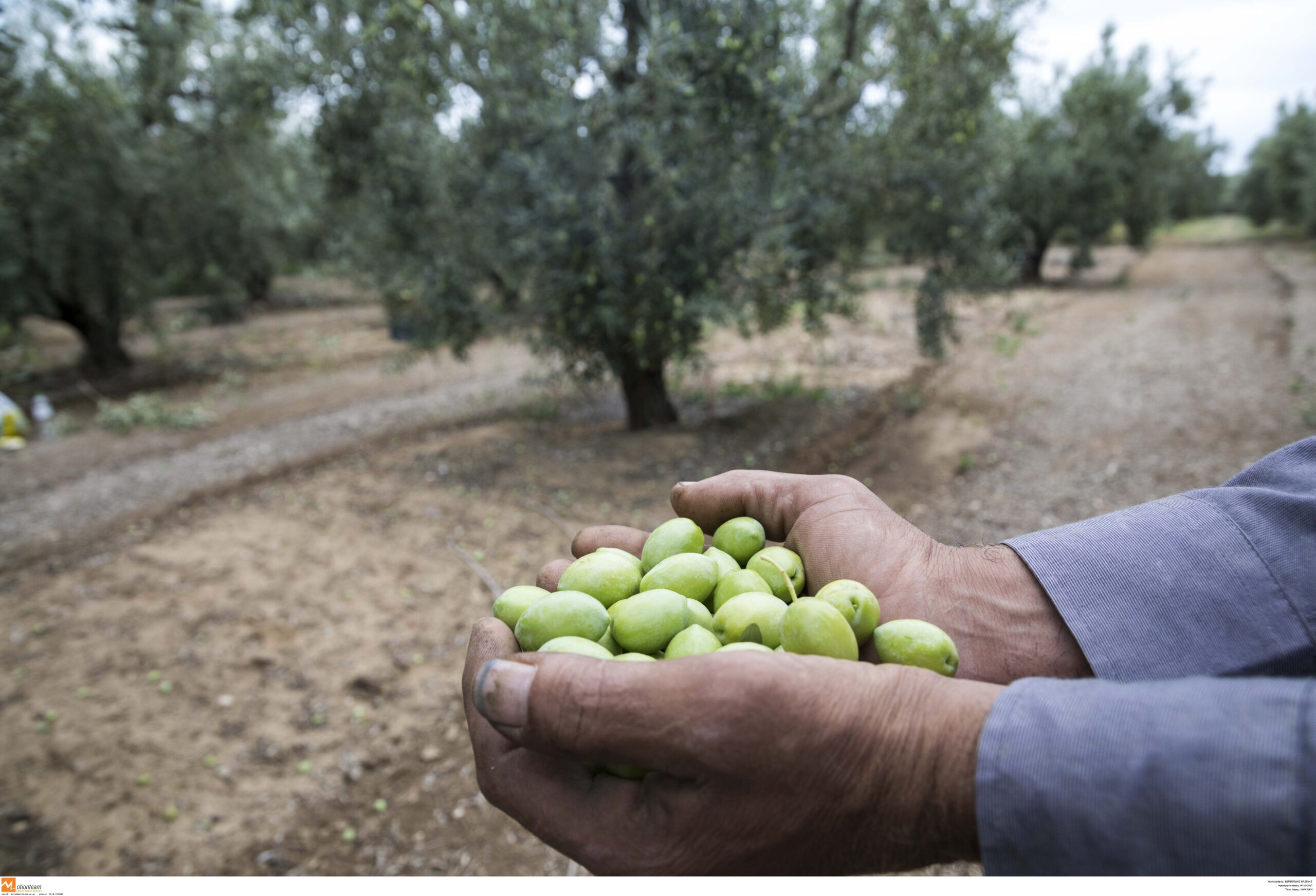 Ανάσα» για τους αγρότες οι νέες ρυθμίσεις για τα κόκκινα δάνεια – Τι περιέχει το ερανιστικό νομοσχέδιο του ΥΠΑΑΤ