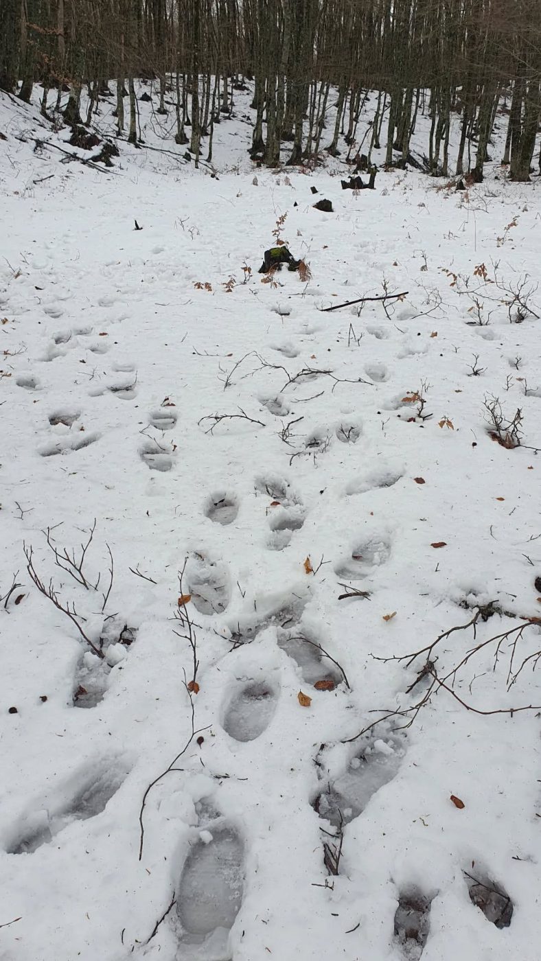 Σταματίνα Τσιμτσιλή: Ο προορισμός που διάλεξε για τις αρχές του 2025 με την οικογένειά της – Φωτογραφίες 17 Σταματίνα Τσιμτσιλή: Ο προορισμός που διάλεξε για τις αρχές του 2025 με την οικογένειά της – Φωτογραφίες