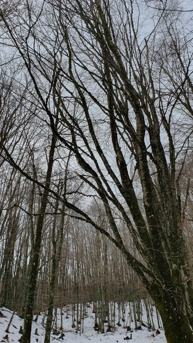 Σταματίνα Τσιμτσιλή: Ο προορισμός που διάλεξε για τις αρχές του 2025 με την οικογένειά της – Φωτογραφίες 20 Σταματίνα Τσιμτσιλή: Ο προορισμός που διάλεξε για τις αρχές του 2025 με την οικογένειά της – Φωτογραφίες