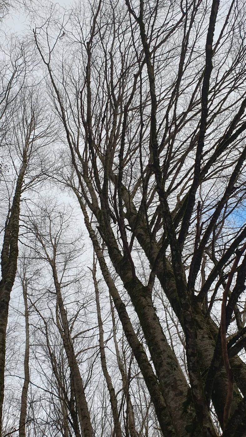 Σταματίνα Τσιμτσιλή: Ο προορισμός που διάλεξε για τις αρχές του 2025 με την οικογένειά της – Φωτογραφίες 19 Σταματίνα Τσιμτσιλή: Ο προορισμός που διάλεξε για τις αρχές του 2025 με την οικογένειά της – Φωτογραφίες