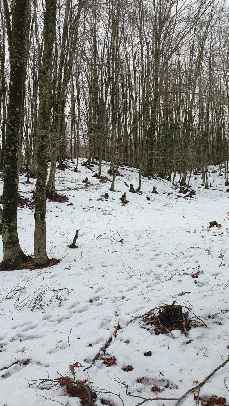 Σταματίνα Τσιμτσιλή: Ο προορισμός που διάλεξε για τις αρχές του 2025 με την οικογένειά της – Φωτογραφίες 16 Σταματίνα Τσιμτσιλή: Ο προορισμός που διάλεξε για τις αρχές του 2025 με την οικογένειά της – Φωτογραφίες