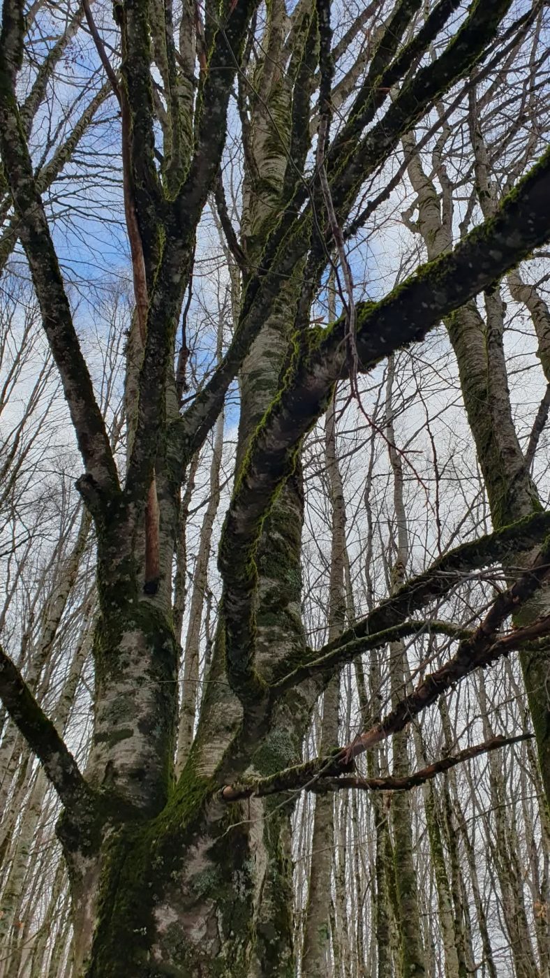 Σταματίνα Τσιμτσιλή: Ο προορισμός που διάλεξε για τις αρχές του 2025 με την οικογένειά της – Φωτογραφίες 18 Σταματίνα Τσιμτσιλή: Ο προορισμός που διάλεξε για τις αρχές του 2025 με την οικογένειά της – Φωτογραφίες