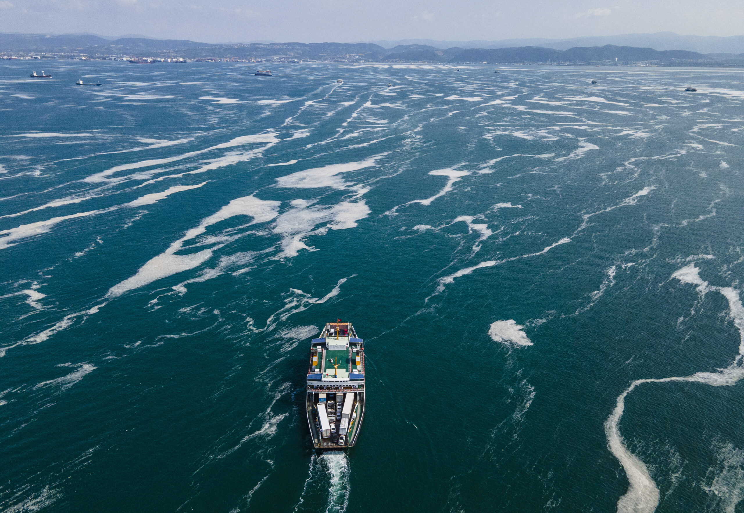 AP21163701180778-scaled