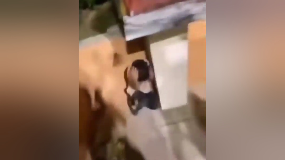 Ακροδεξιοί νταήδες απειλούν 10χρονο παιδί και του ζητούν να φωνάξει «ζήτω ο Κασιδιάρης»