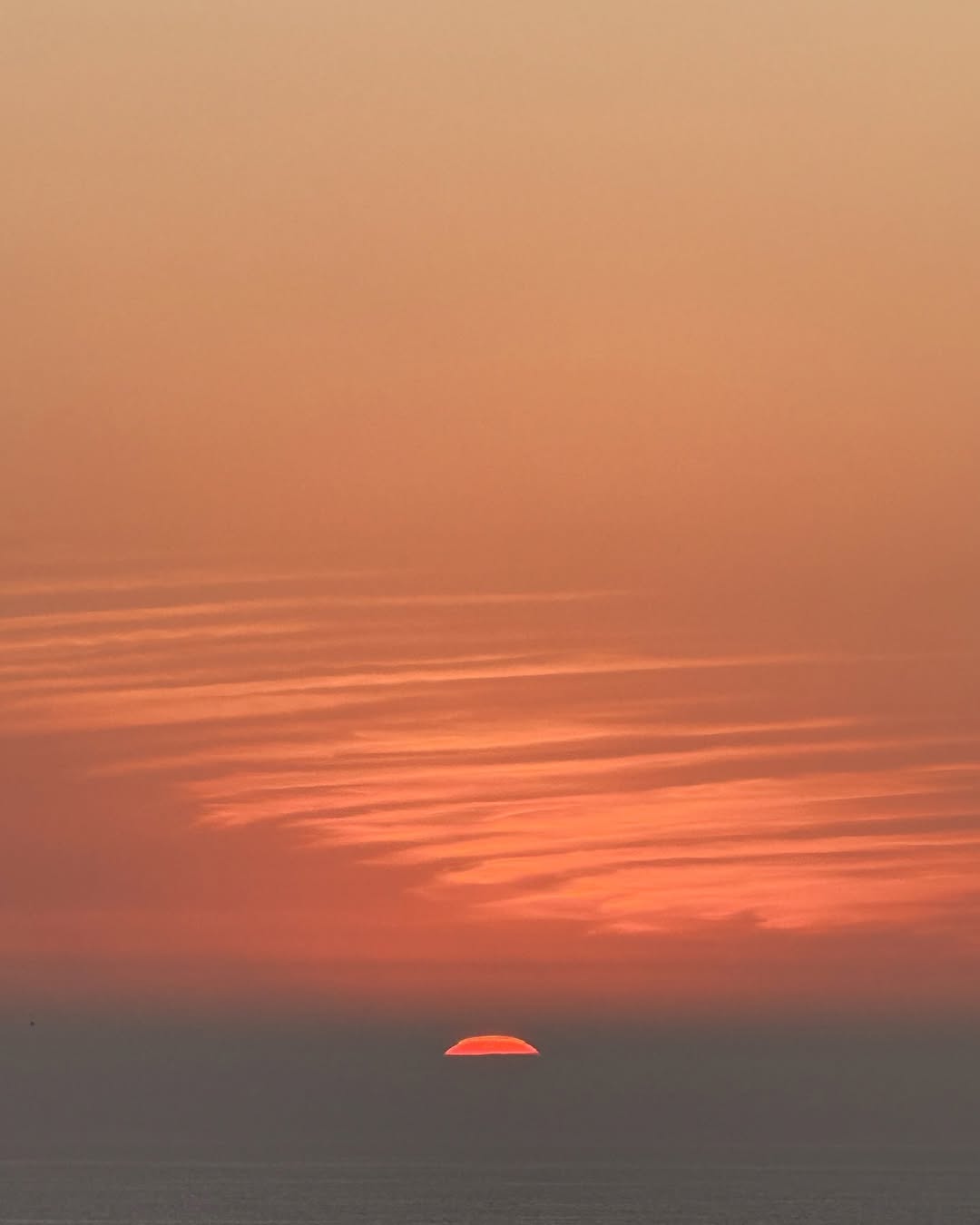 Κωνσταντίνος Βασάλος – Μαρία Παπαγεωργίου: Οι εκπληκτικές εικόνες από το ταξίδι τους στην Αμερική 17 Κωνσταντίνος Βασάλος – Μαρία Παπαγεωργίου: Οι εκπληκτικές εικόνες από το ταξίδι τους στην Αμερική