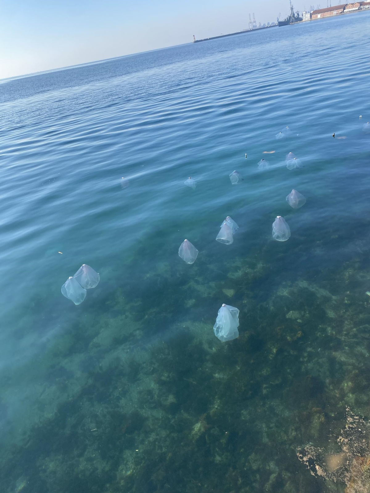Θεσσαλονίκη: Δύο σπουδάστριες βούτηξαν στον Θερμαϊκό για να υποδεχτούν το 2025 9 Θεσσαλονίκη: Δύο σπουδάστριες βούτηξαν στον Θερμαϊκό για να υποδεχτούν το 2025