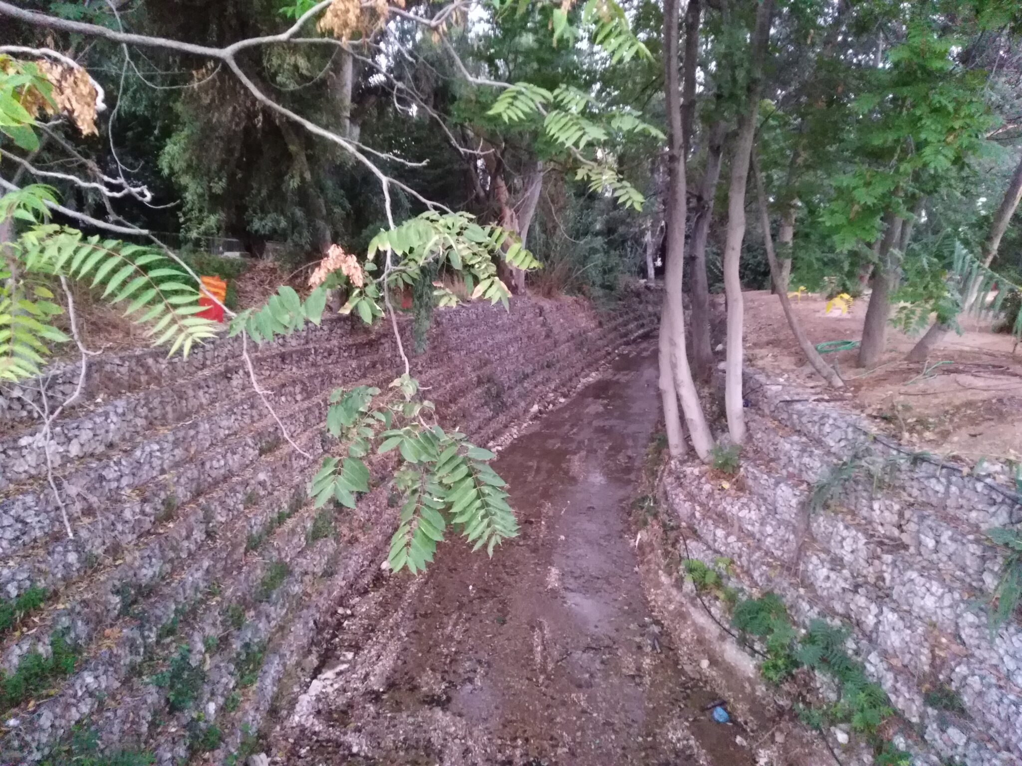 IMG_20241011_072246-2048x1536-1