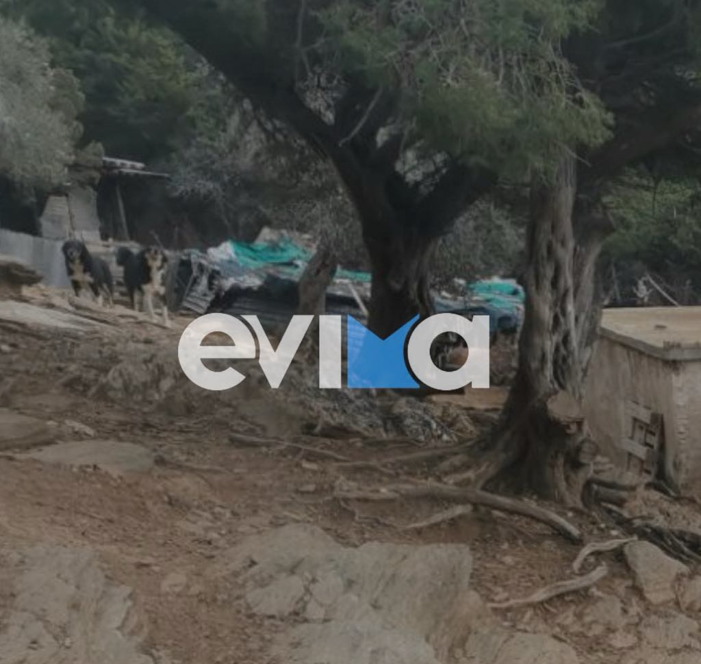 Κάρυστος: Στον εισαγγελέα ο σύζυγος της 53χρονης που μάχεται για τη ζωή της στη ΜΕΘ – Οι άθλιες συνθήκες ζωής τους σε στάνη 14 Κάρυστος: Στον εισαγγελέα ο σύζυγος της 53χρονης που μάχεται για τη ζωή της στη ΜΕΘ – Οι άθλιες συνθήκες ζωής τους σε στάνη