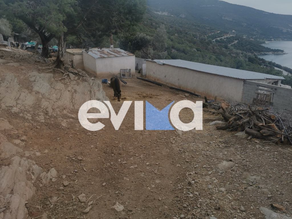 Κάρυστος: Στον εισαγγελέα ο σύζυγος της 53χρονης που μάχεται για τη ζωή της στη ΜΕΘ – Οι άθλιες συνθήκες ζωής τους σε στάνη 11 Κάρυστος: Στον εισαγγελέα ο σύζυγος της 53χρονης που μάχεται για τη ζωή της στη ΜΕΘ – Οι άθλιες συνθήκες ζωής τους σε στάνη