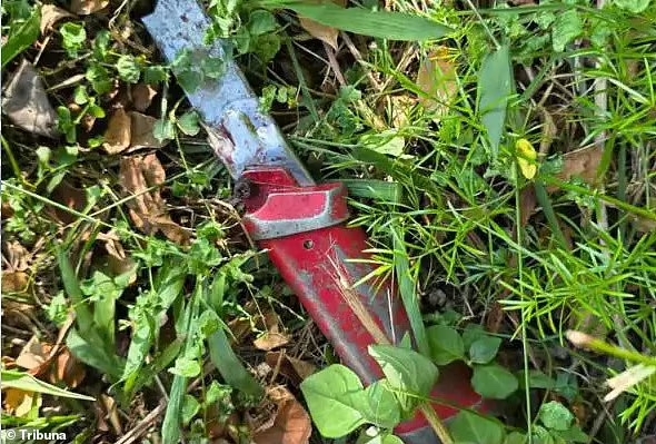 Άγρια δολοφονία: 65χρονη ομολόγησε ότι έφαγε την καρδιά και τα γεννητικά όργανα ενός άνδρα – Το σημείωμα που βρέθηκε δίπλα στο πτώμα 4 Άγρια δολοφονία: 65χρονη ομολόγησε ότι έφαγε την καρδιά και τα γεννητικά όργανα ενός άνδρα – Το σημείωμα που βρέθηκε δίπλα στο πτώμα