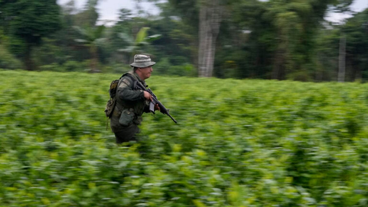 AP23072524282896-768x512-1