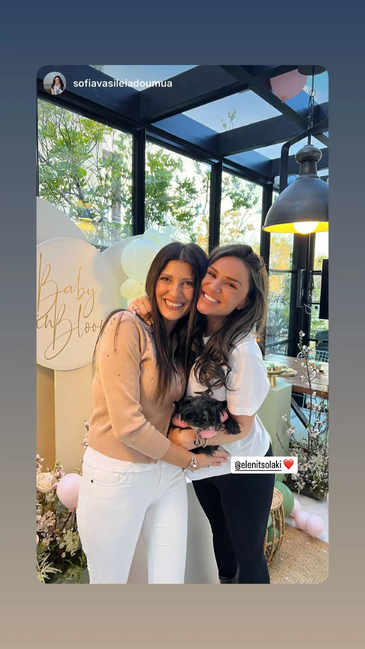 Ελένη Τσολάκη: Baby shower για την παρουσιάστρια – Τα μπαλόνια «πρόδωσαν» το φύλο του μωρού; 5 Ελένη Τσολάκη baby shower