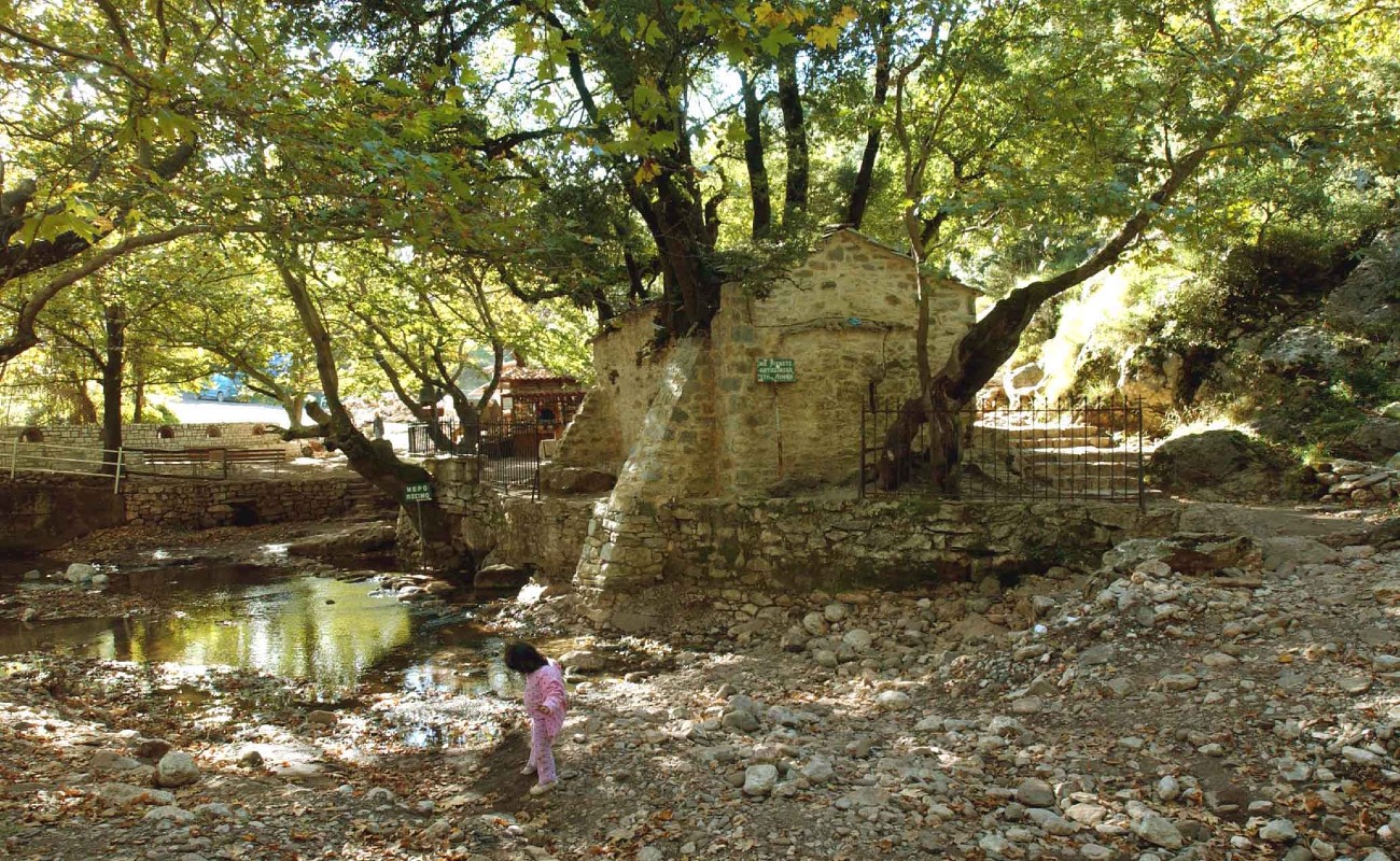 Αγία Θεοδώρα: Το γραφικό εκκλησάκι στην Αρκαδία με τα 17 δέντρα στην στέγη του 2 ο ιερός ναός της αγίας θεοδώρας έξω από την Μεγαλόπολη
