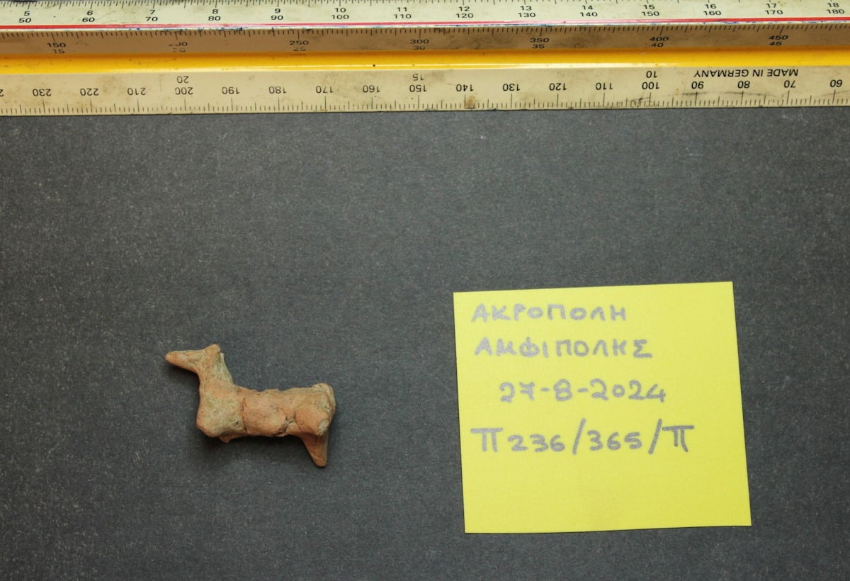 Η ακρόπολη της Αμφίπολης φέρνει στο φως σημαντικά ευρήματα: Το ανθρώπινο δόντι ενός παιδιού και η πήλινη ανάγλυφη κεφαλή του Ασκληπιού 6 Εύρημα από την ακρόπολη της Αμφίπολης