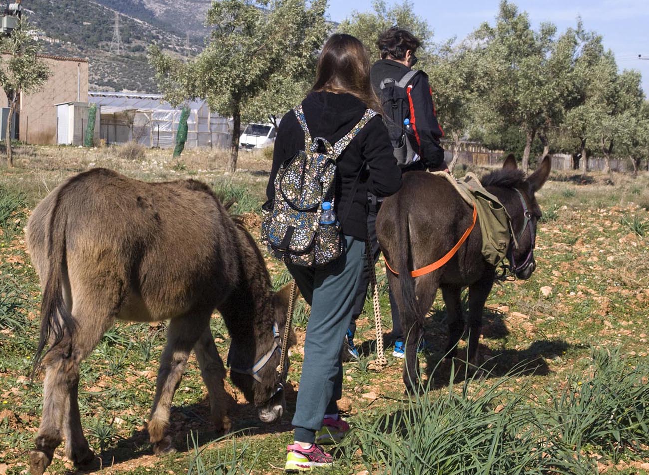 Εναλλακτική εκδρομή με τα παιδιά σε φάρμες με ζώα, μια ανάσα από την Αθήνα
