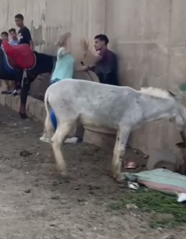 ΓΑΙΔΟΥΡΙ