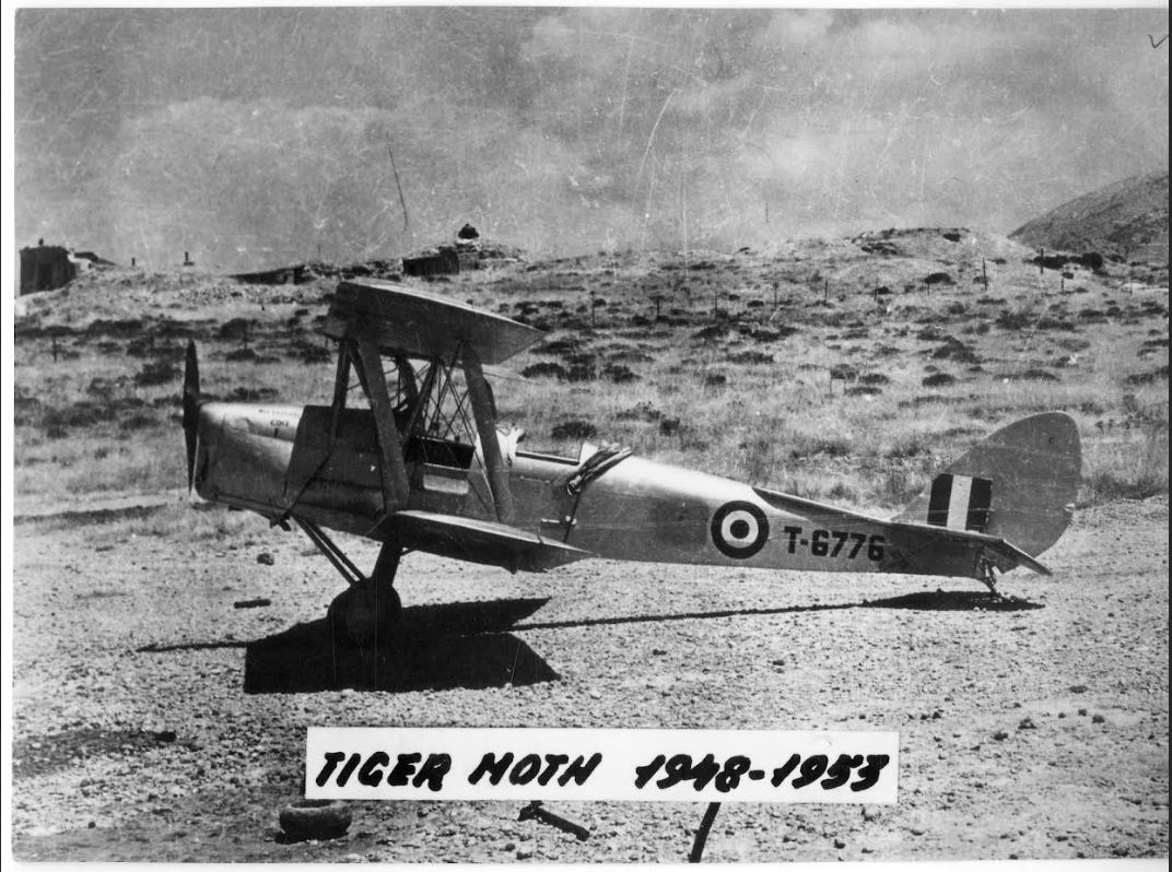 TIGER MOTH