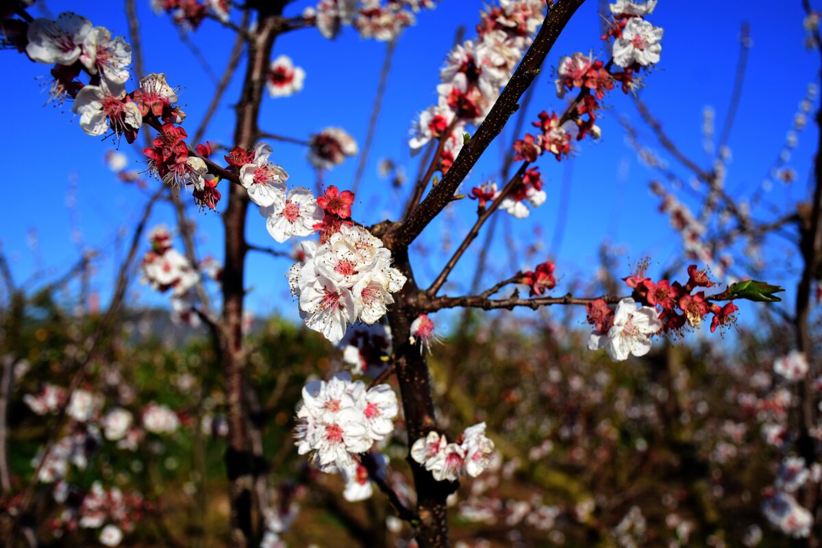 anoixi_kairos_eurok-1200x800