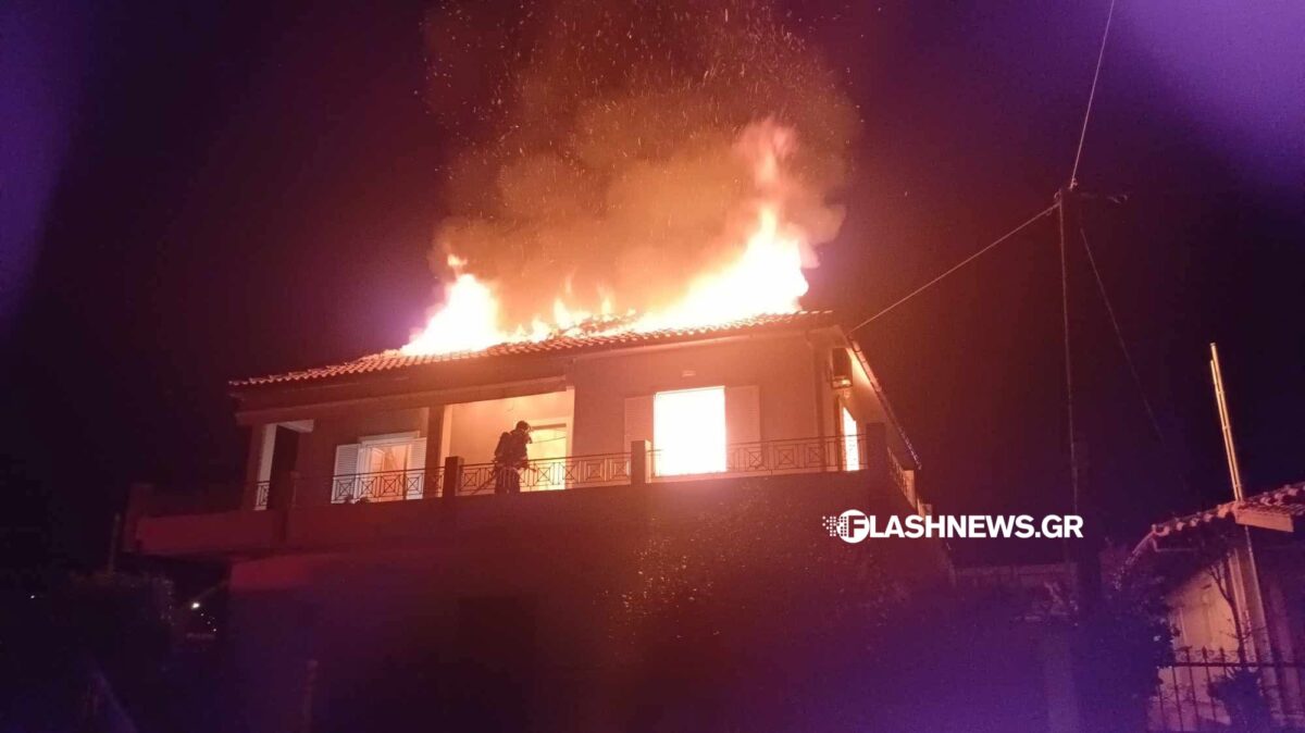 spiti_kriti-1200x674